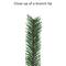 6ft. Pre-Lit Green Artificial Palm Tree with Clear Lights